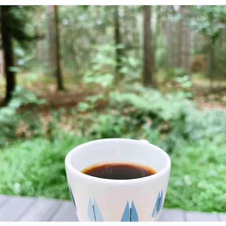 Dom wakacyjny Vilka *