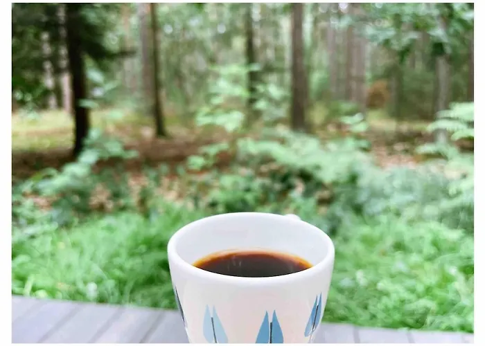 Dom wakacyjny Vilka *