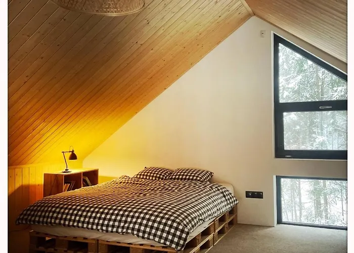 Vilka Dom wakacyjny Holendry